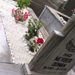 Mezar Bakım Fotoğrafları 20220607 150831 150x150