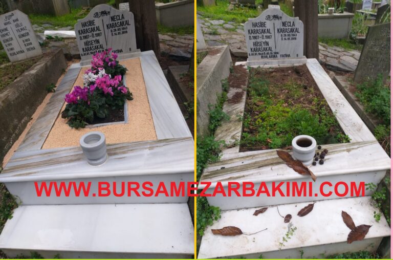 Mezar Bakım Fotoğrafları @whatsapp image 2025 12 26 at 16.47.44
