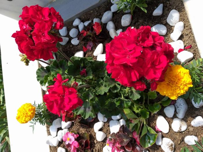 Bursa Gemlik Mezar Bakimi  "09 Mayıs 2019"
