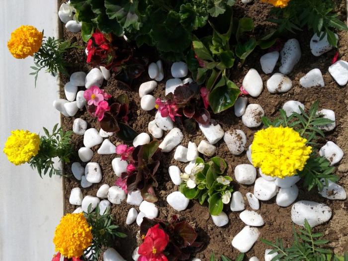 Bursa Gemlik Mezar Bakimi  09 Mayıs 2019